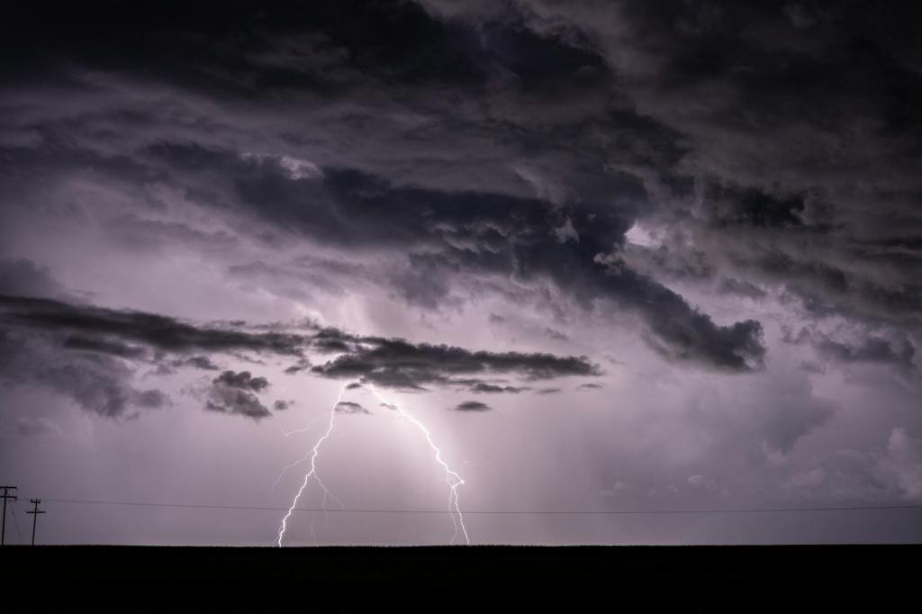 The Politics of Cruelty and the Economics of&nbsp;Uncertainty